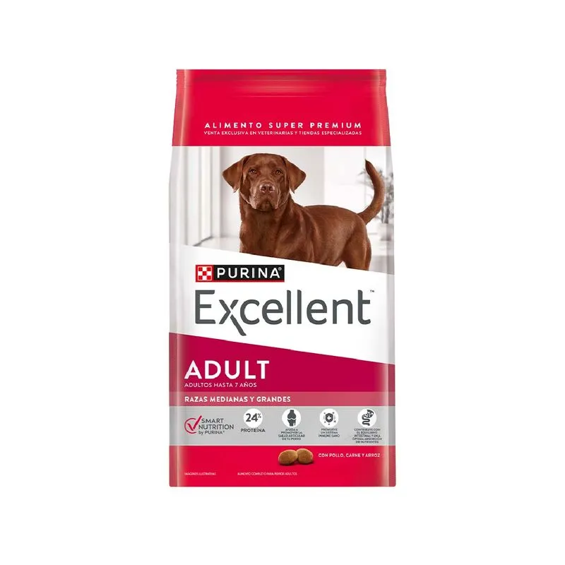 Excellent Perro Adulto