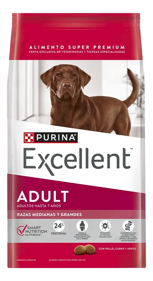 Excellent Perro Adulto
