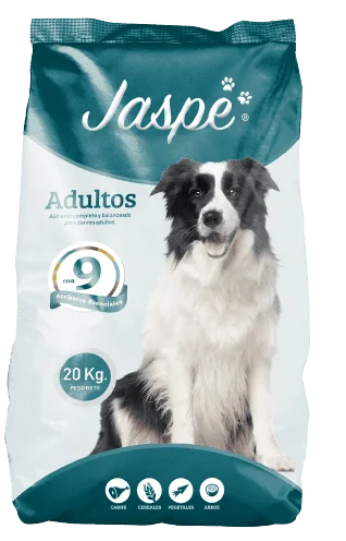 Jaspe Adulto