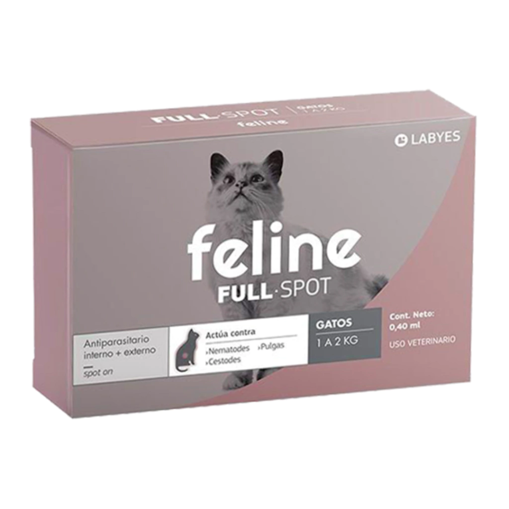 Feline 1 a 2 kg