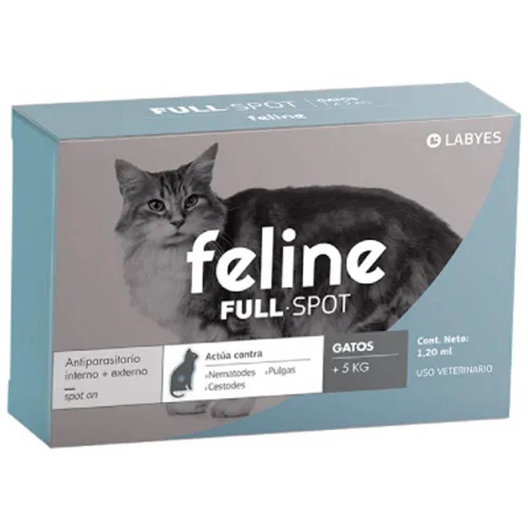 Feline +5 kg