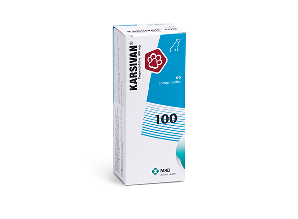 Karsivan 100 mg