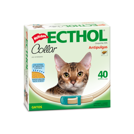 Collar Ecthol Gatos