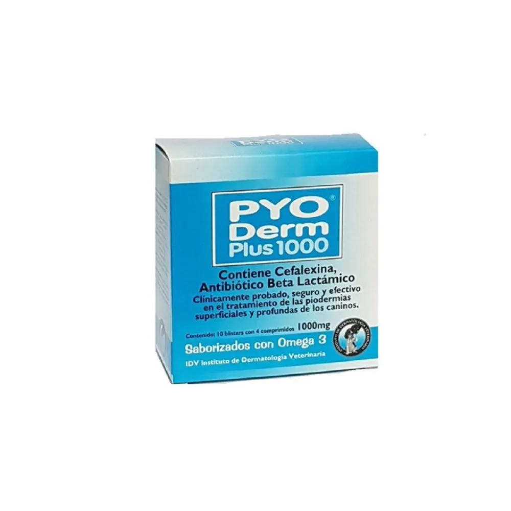 Pyo derm 1000 x 4 Comprimidos