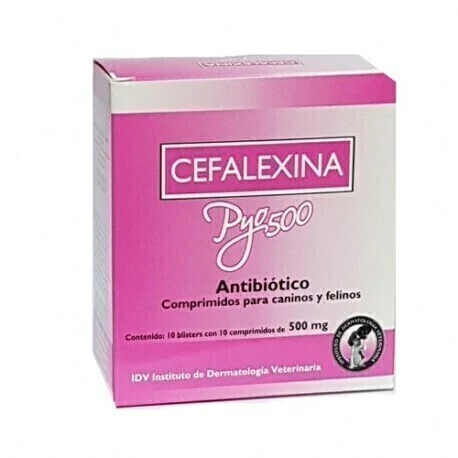 Pyo 500 x 10 Comprimidos