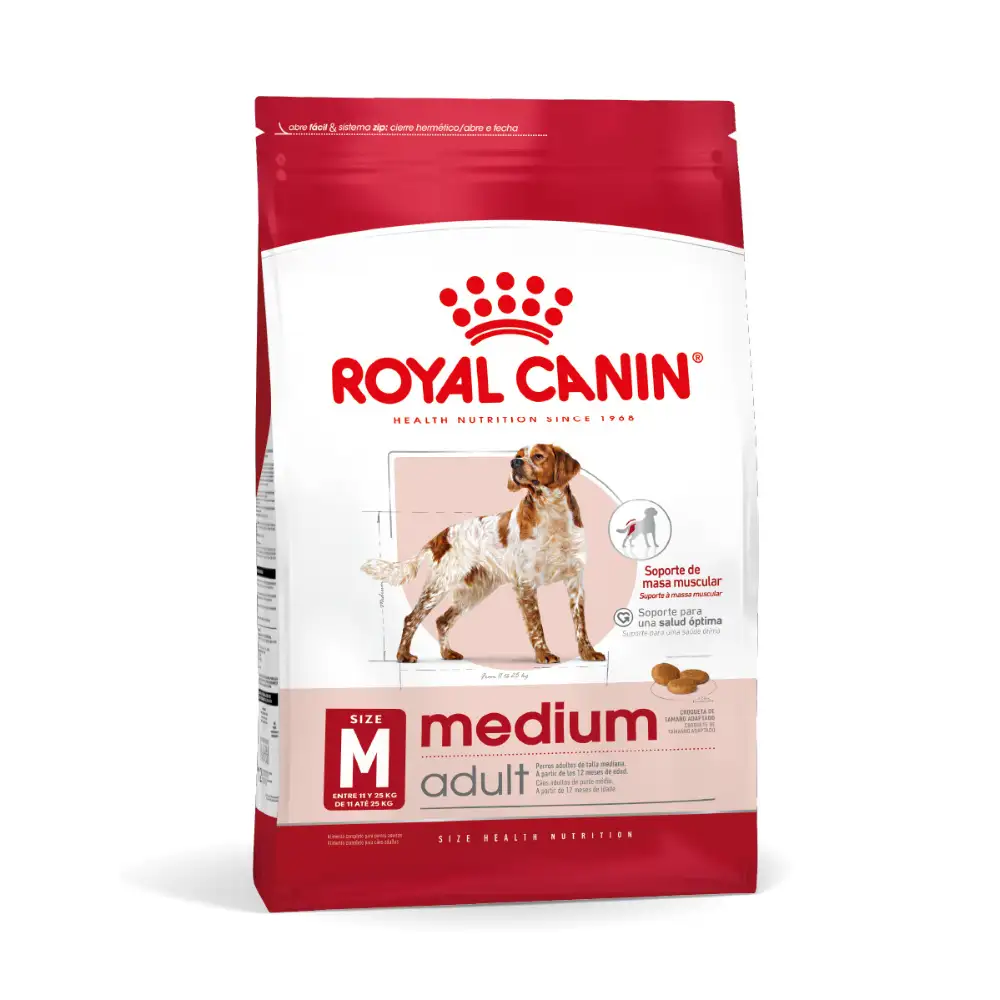 Medium Adulto