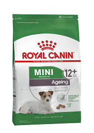 Mini Adulto