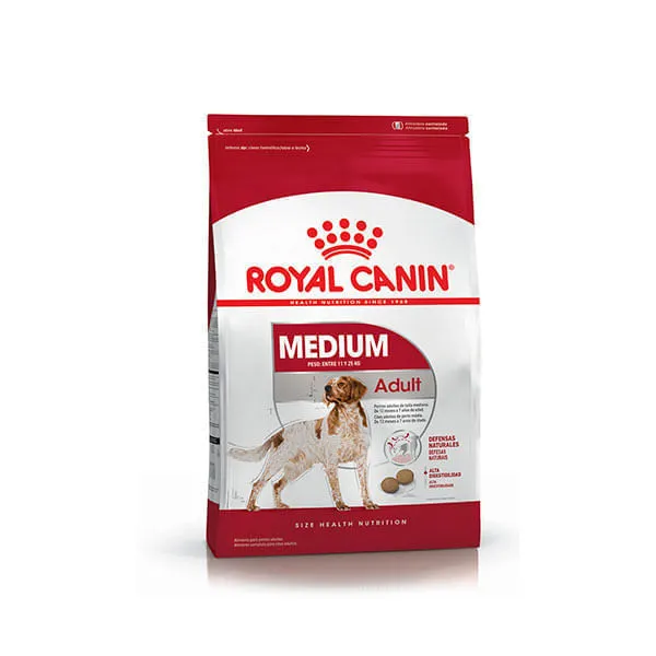 Medium Adulto