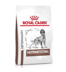Gastrointestinal Perro