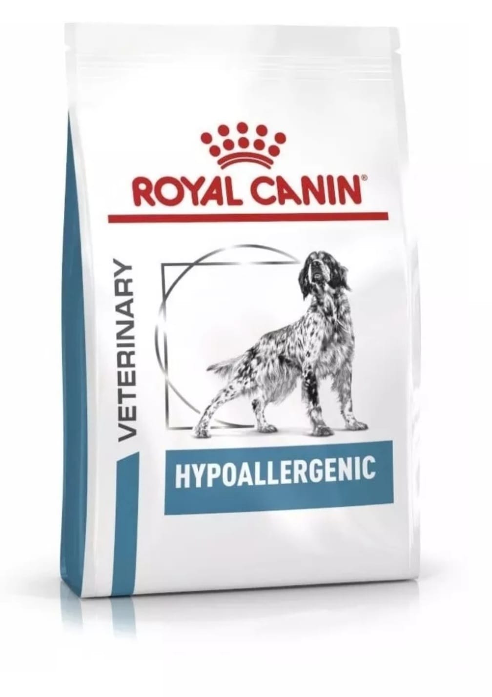 Hypoallergenic Perro