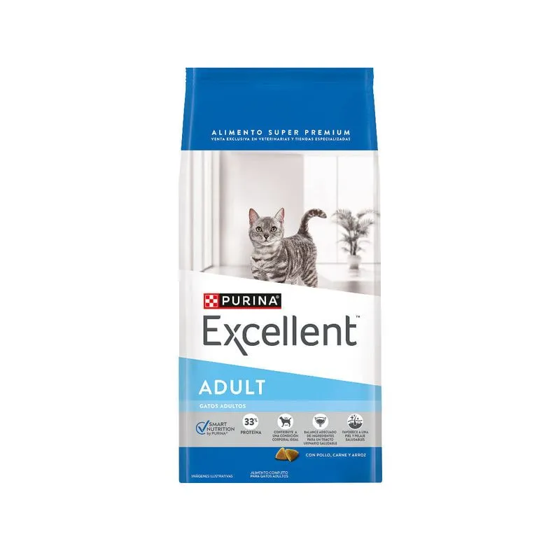 Excellent Gato Adulto