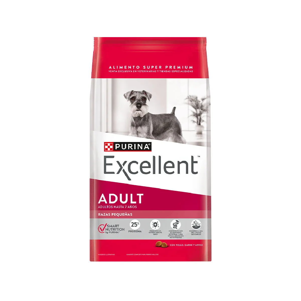 Excellent Adulto Raza Pequeña
