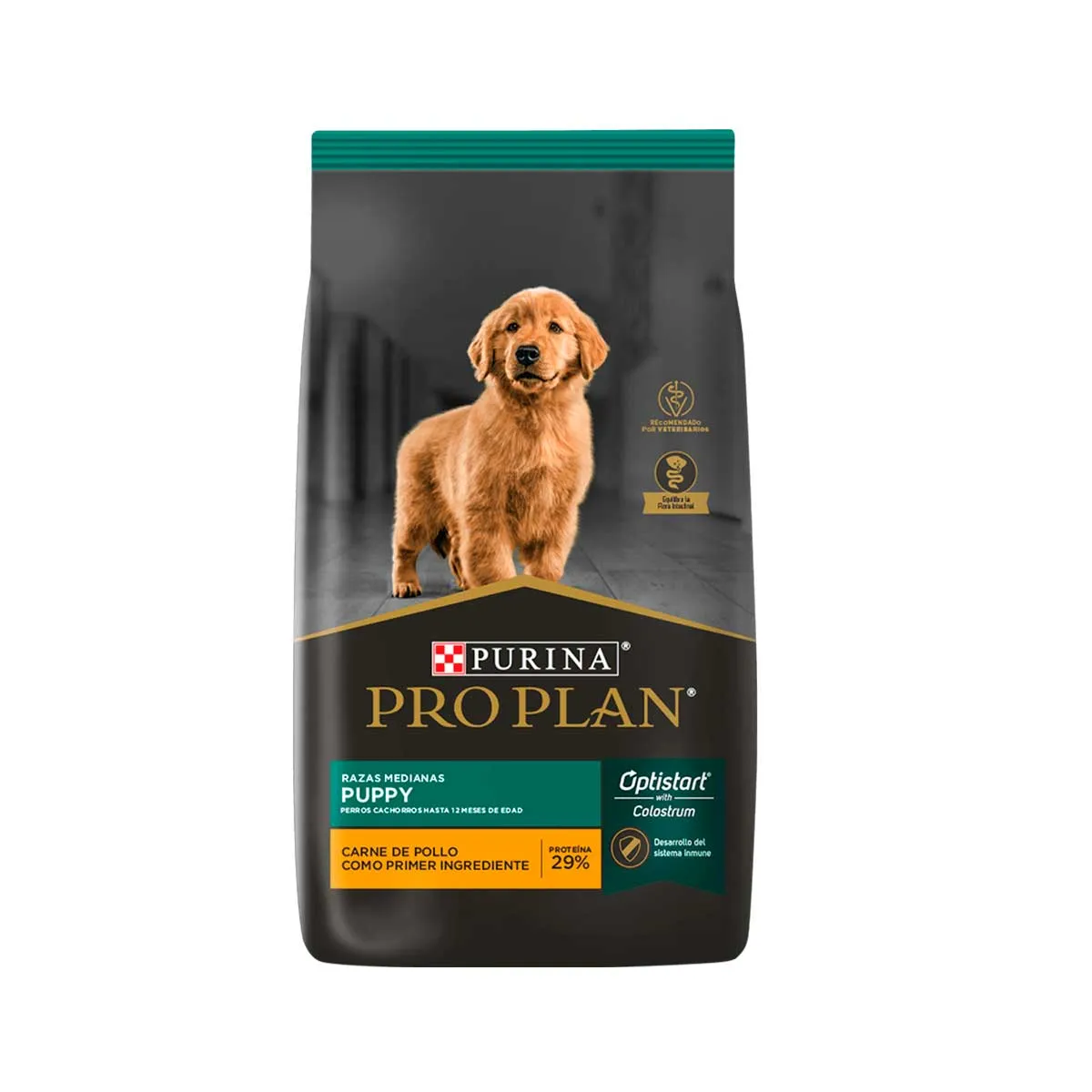 Pro Plan Puppy