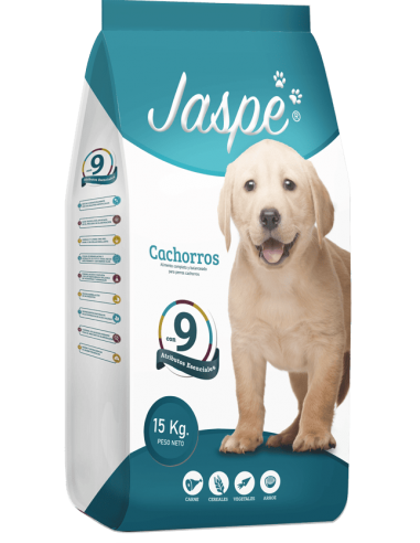 Jape Cachorro