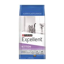 Excellent Gato Kitten