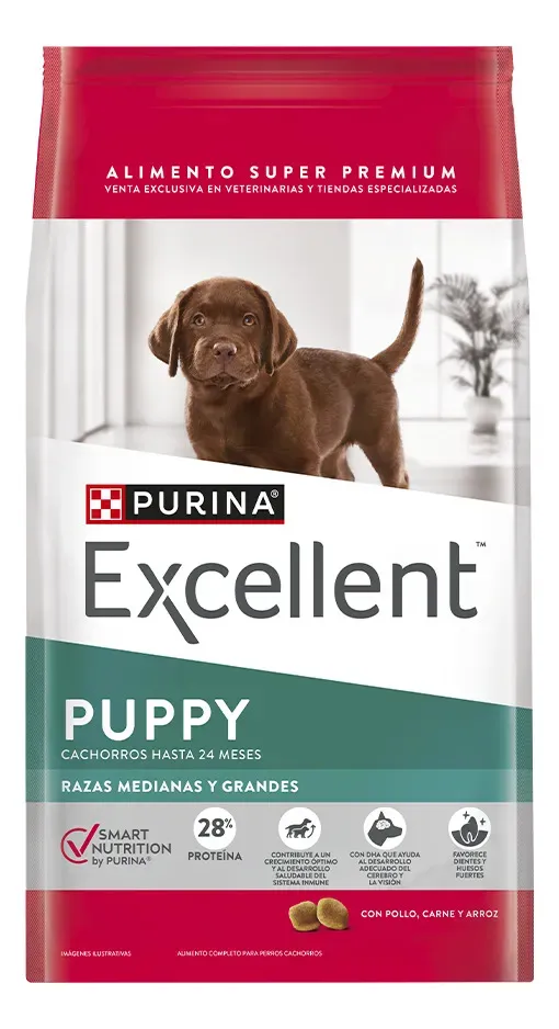 Excellent Perro Cachorro