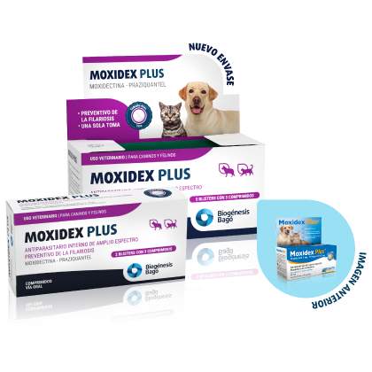 Moxidex Plus