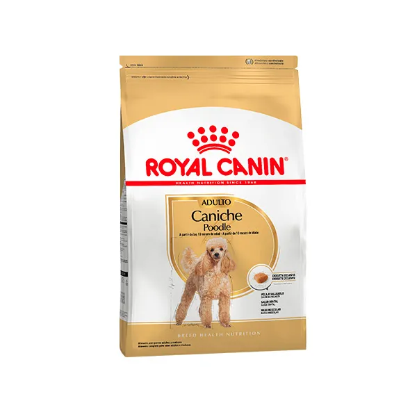 Poodle Adulto PROMO