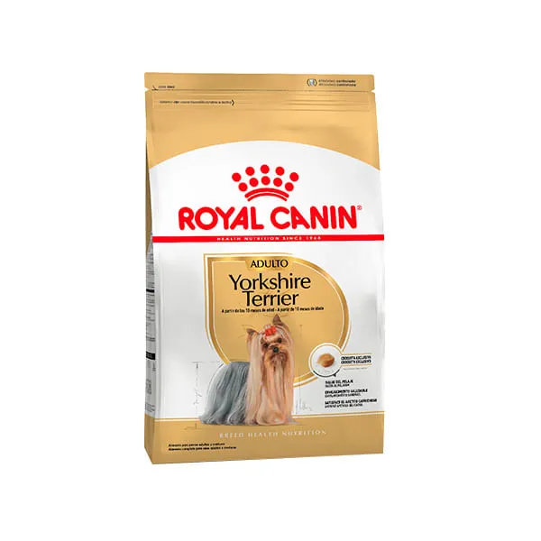 Yorkshire Terrier Adulto PROMO