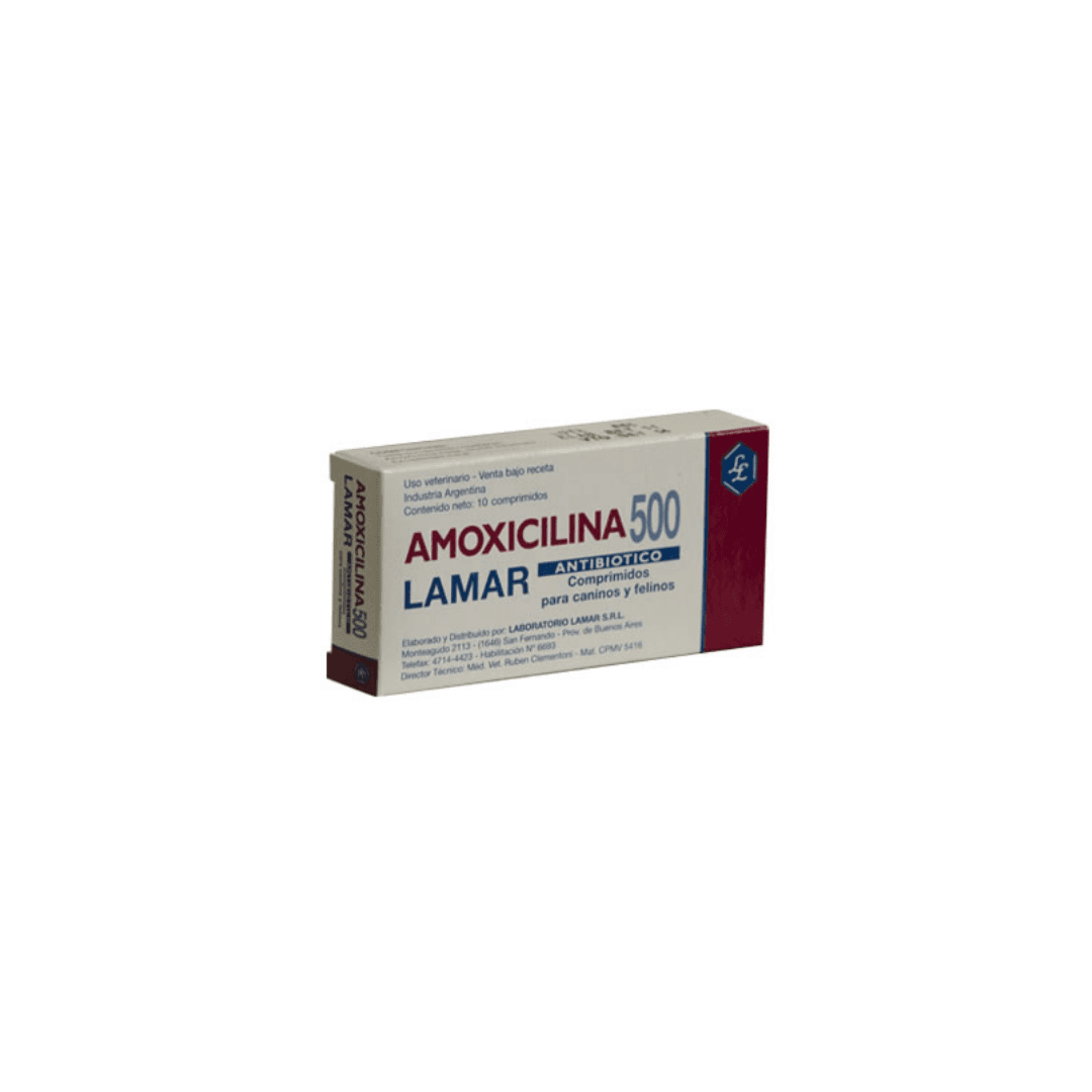 Amoxicilina 500 mg