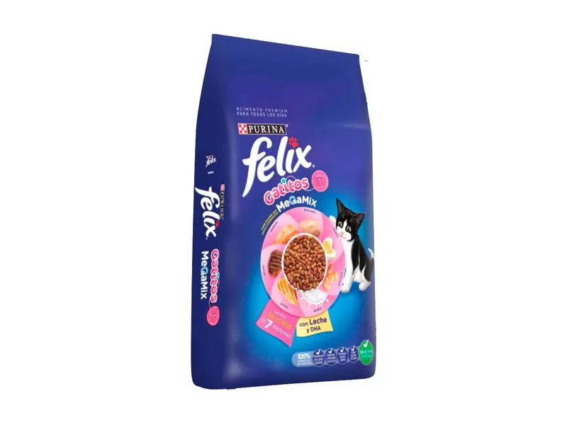 Felix Gatitos