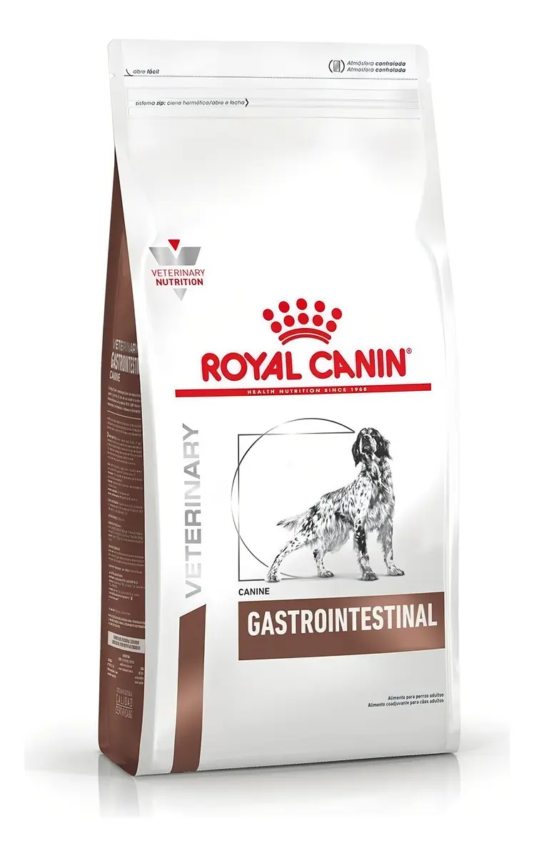 Gastrointestinal Perro
