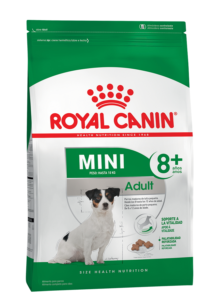 Mini Adulto +8