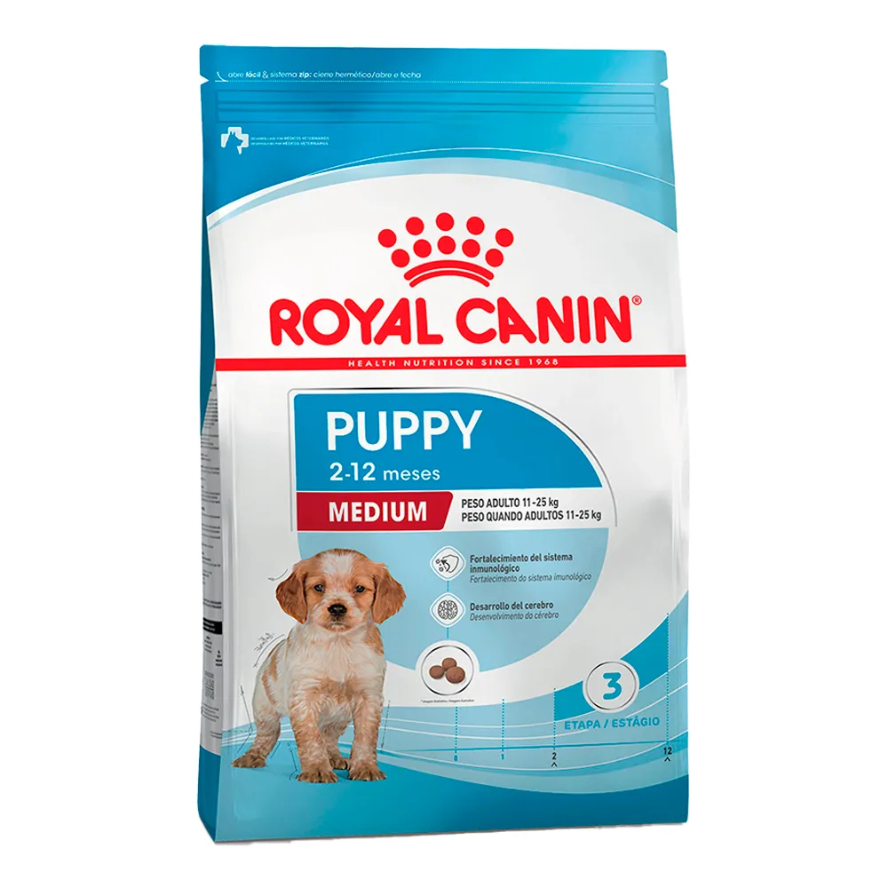 Medium Puppy